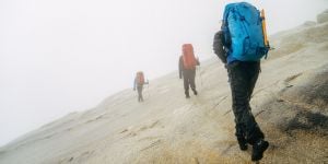 Patagonia hiking pants for men