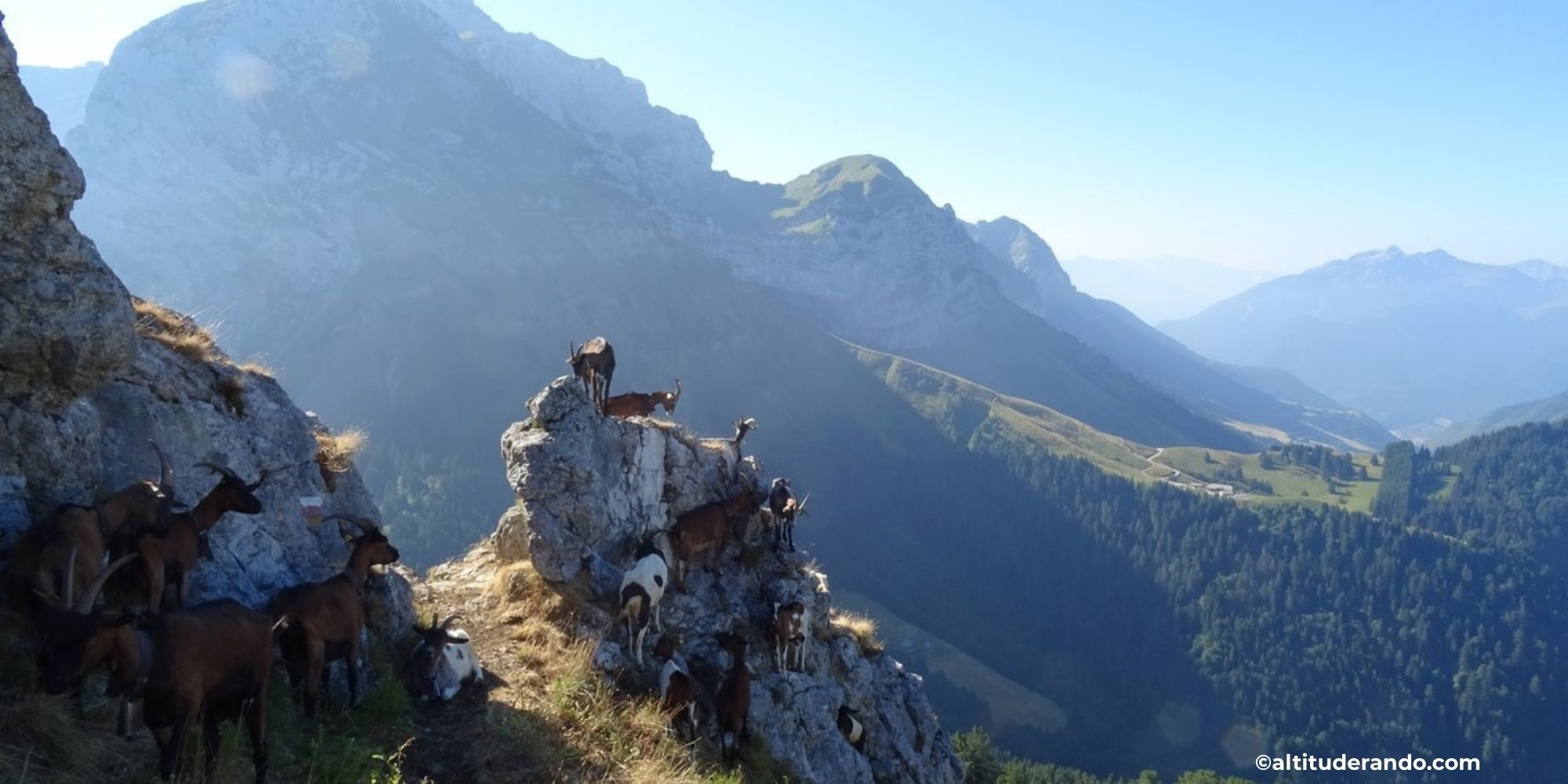 Le Lanfonnet