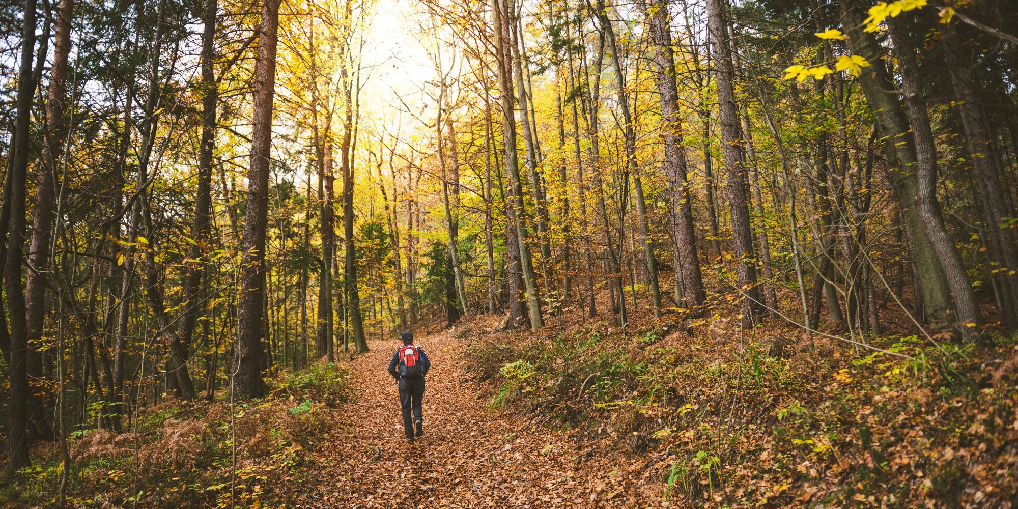 5 must-visit spots for hiking in Haute-Savoie this autumn